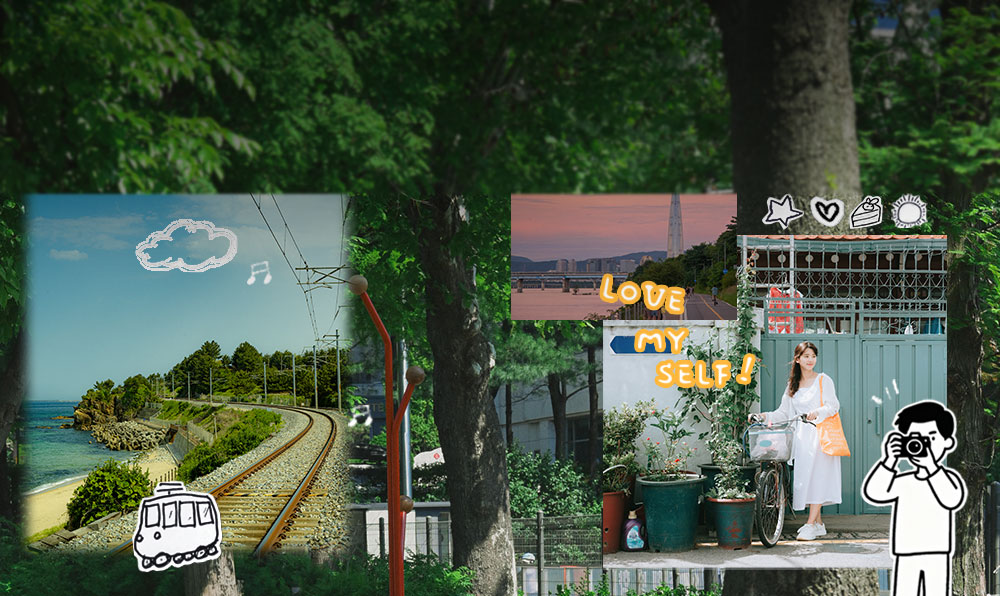 #니콘 일상 기록