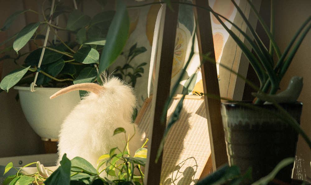 니콘스쿨, 홈 인테리어 촬영 세미나