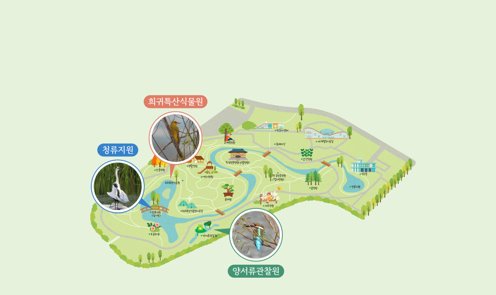 니콘 탐조 피크닉