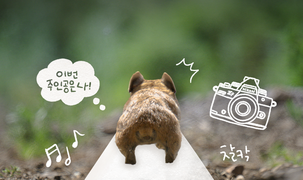 <니콘 동물 대소동> 사진 콘테스트