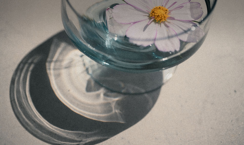 Zf <필름 그레인> 다운로드 개시