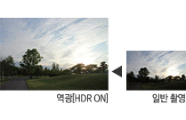 역광