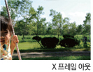 X 프레임 아웃