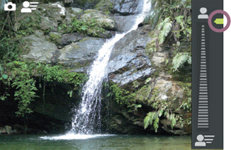 움직임을 포착한다