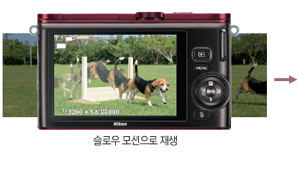 슬로우 모션으로 재생