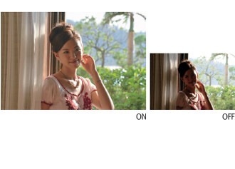 액티브 D-Lighting ON/OFF