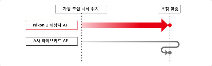 설명 이미지
