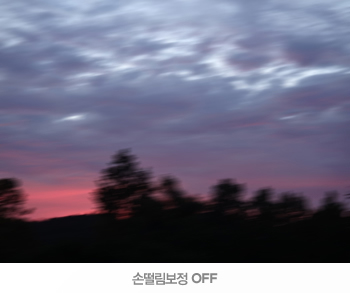 ????? ???? OFF ?? ???? ????? : ???????? ??????? ????