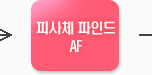 피사체 파인트 AF