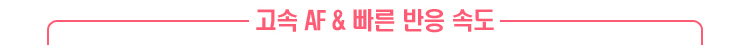 고속 AF & 빠른 반응 속도
