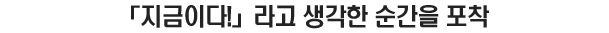 지금이다! 라고 생각한 순간을 포착