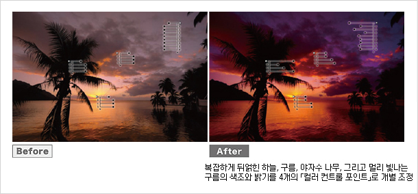 컨트롤 포인트를 적용하면 복잡하게 뒤얽힌 하늘, 구름, 야자수 나무, 그리고 멀리 및나는 구름의 색조와 밝기를 4개의 컬러 컨트롤 포인트로 개별 조정할수 있다.